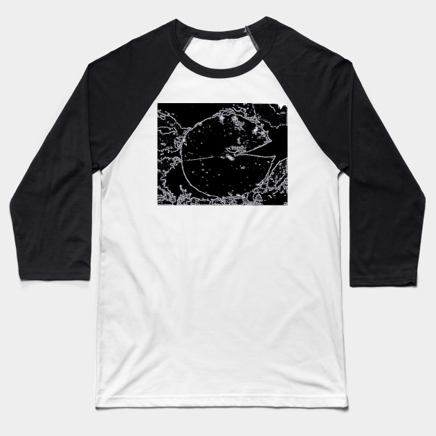 Night Lite Water Lily Baseball T-Shirt by Tovers